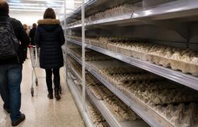 В Германии ограничили продажу яиц из-за дефицита