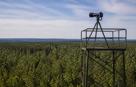 В Пермском крае систему «Лесохранитель» расшири...
