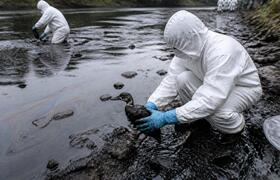 В Перми волонтёры спасают птиц после разлива не...