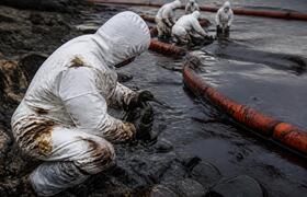 В Перми из-за разлива нефти в Мулянке гибнут жи...