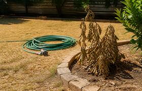 Thames Water с 23 июля запрещает полив из шлангов