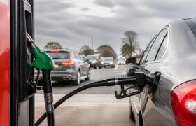 На территории Прикамья резко снизилась цена на ...