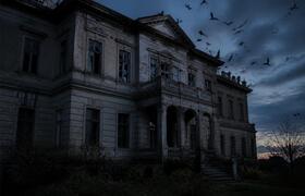 Летучие мыши захватили особняк из «Бэтмена» в Б...