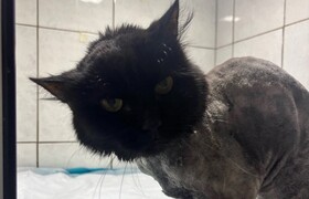 Оказался на обочине дороге и крутил головой: ка...