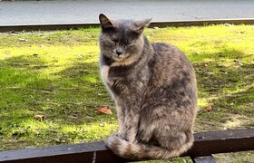 Известные авторы приедут в Пермь поддержать при...