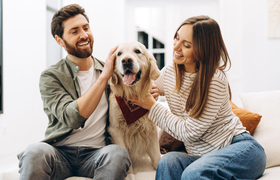 Все для домашних питомцев в Перми