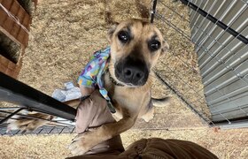 Прокуратура возбудила административные дела про...