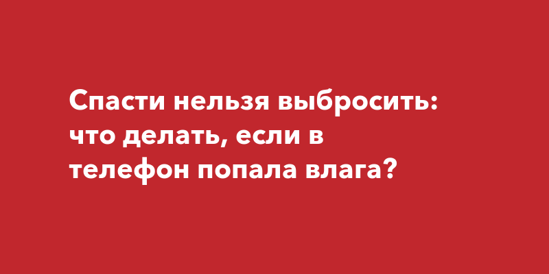 Спасти нельзя выбросить: что делать, если в телефон попала влага?
