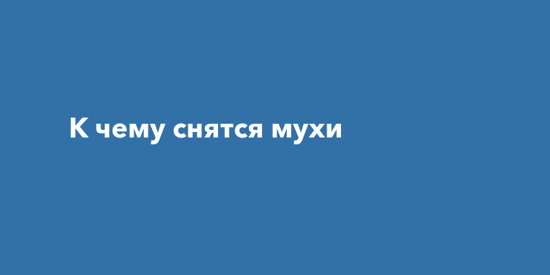 Приснились мухи к чему это. Приснились мухи к чему это. К чему снятся мошки во сне. Видеть во сне насекомых. К чему снится много мух.