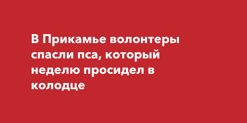 Сочинение краб неделю просидел под кроватью сочинение